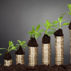 BILANCIO 2017: “PD fa sul serio su consumo di suolo”