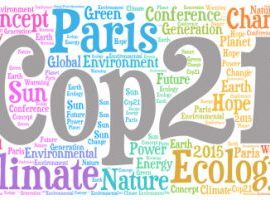 CLIMA: ”Domani entra in vigore l’ACCORDO di PARIGI. Ora i singoli Paesi adottino politiche green”