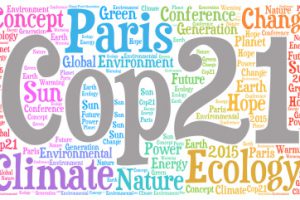 CLIMA: ”Domani entra in vigore l’ACCORDO di PARIGI. Ora i singoli Paesi adottino politiche green”