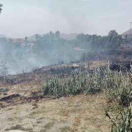 INCENDI, SICILIA, Braga (PD): ”Agire subito affinché non si inauguri stagione degli incendi”