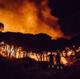 INCENDI: “Bene impegno del Governo, investire su prevenzione”