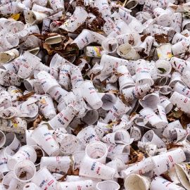 AMBIENTE, INQUINAMENTO, la battaglia della UE per mettere al bando la plastica monouso