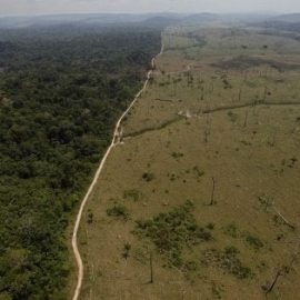 BRASILE, deforestazione da record, allarme in Amazzonia