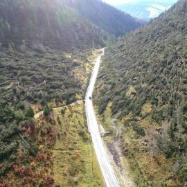 CLIMA, VENTO: “A che punto sono le azioni a tutela dei boschi dolomitici dopo la tempesta Vaia?”