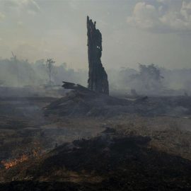 1 SETTEMBRE, GIORNATA MONDIALE PER LA CUSTODIA DEL CREATO