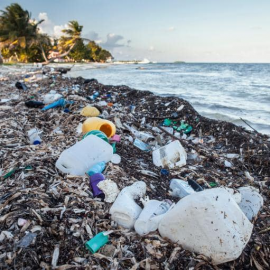 AMBIENTE: “L’impronta ambientale va data coi fatti”