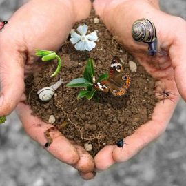 5 GIUGNO, GIORNATA MONDIALE DELL’AMBIENTE