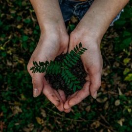 GIORNATA MONDIALE DELLA TERRA: “La ripresa post pandemia può partire solo dall’ambiente”