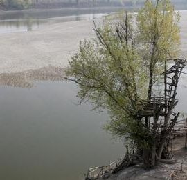 AMBIENTE, STUDIO UNIVERSITA’ DI MILANO: “150 anni di cambiamenti ambientali hanno modificato la biodiversità in Italia”