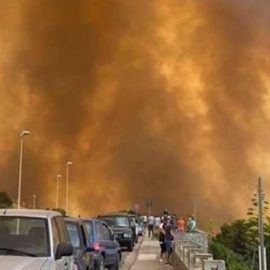 INCENDI IN SARDEGNA: “Sostegno e più prevenzione con il catasto delle aree incendiate”