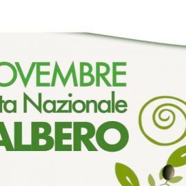 21 NOVEMBRE, GIORNATA NAZIONALE DEGLI ALBERI: “Custodi di storia, bellezza e alleati contro la crisi climatica”