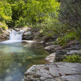 BIODIVERSITA’: “Da UE nuove linee guida, proteggere il 30% delle terre e dei mari europei entro il 2030”