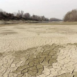 SICCITA’: “Servono interventi strutturali”