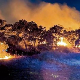 SICCITA’-INCENDI: “Aggiornare catasto aree colpite”