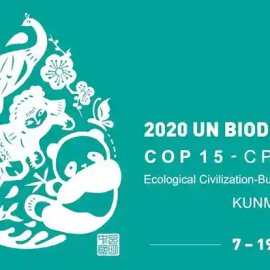 COP15 BIODIVERSITA’ MONTREAL: “Rendiamo protetto il 30% del territorio e il 30% degli oceani entro il 2030”