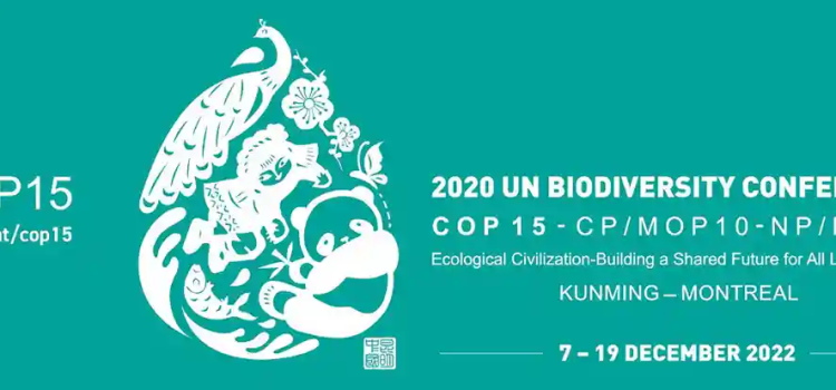 COP15 BIODIVERSITA’ MONTREAL: “Rendiamo protetto il 30% del territorio e il 30% degli oceani entro il 2030”
