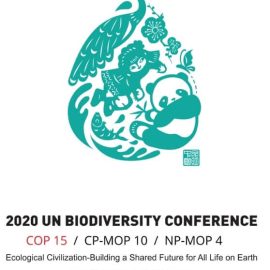 COP15 BIODIVESITA’: “La difesa delle specie viventi diventa priorità delle Nazioni Unite”