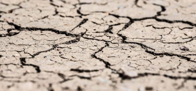 CLIMA, SICCITA’: “Non c’è più tempo, contro siccità servono misure urgenti”
