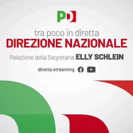 DIREZIONE NAZIONALA PD