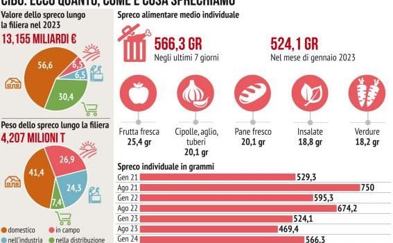 SPRECO ALIMENTARE: “In Italia la stima è di 4 tonnellate di cibo sprecato, l’8% in più rispetto al 2023”