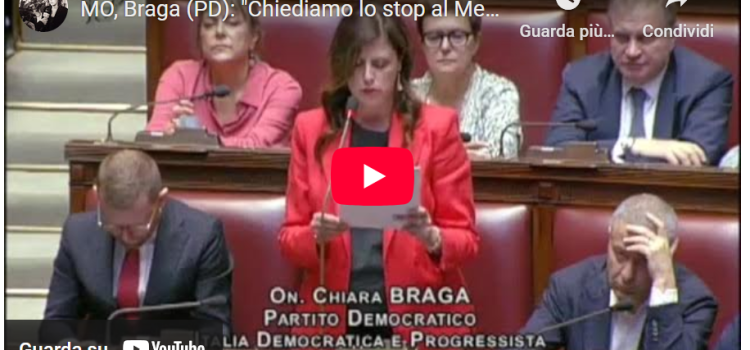 MEDIO ORIENTE: “Chiediamo lo stop al Memorandum tra Italia e Israele” MEDIO ORIENTE: “Chiediamo lo stop al Memorandum tra Italia e Israele”