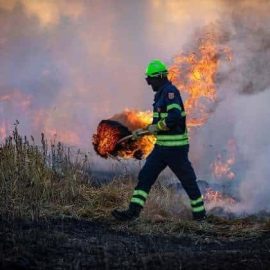 SOS INCENDI: “L’Italia brucia nel silenzio del Governo”