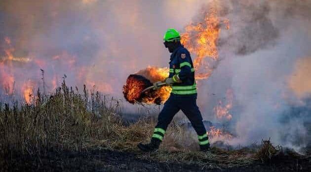 SOS INCENDI: “L’Italia brucia nel silenzio del Governo”